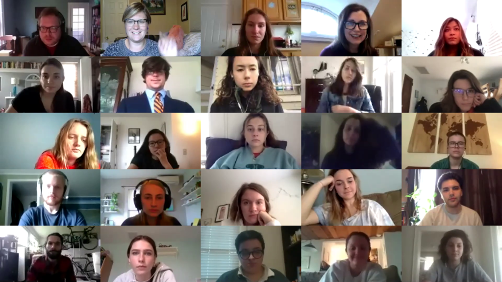 screenshot of the zoom meeting, featuring many attendee's faces