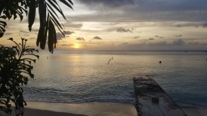 beach sunset with palm trees and sand in the foreground and the sun setting over the ocean horizon in the background.