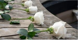 white roses lay on a concrete platform